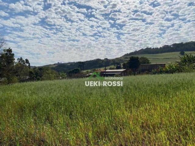 Sítio e chácara venda em Região Geográfica Imediata de Londrina, Tamarana