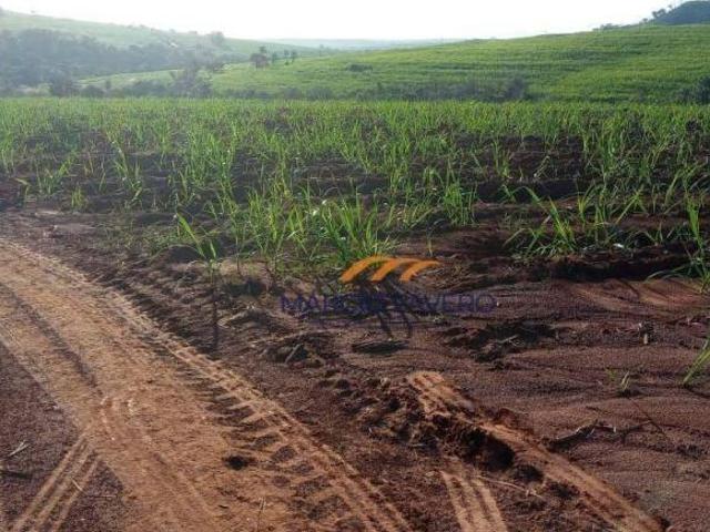 Sítio e chácara venda em Região Imediata de São João da Boa Vista, Região Metropolitana de Ribeirão Preto
