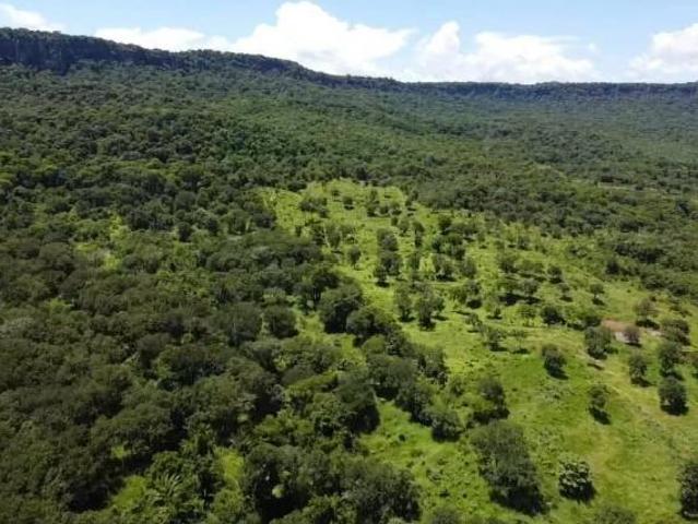 Sítio e chácara venda em Região Geográfica Imediata de Tangará da Serra, Tangará da Serra
