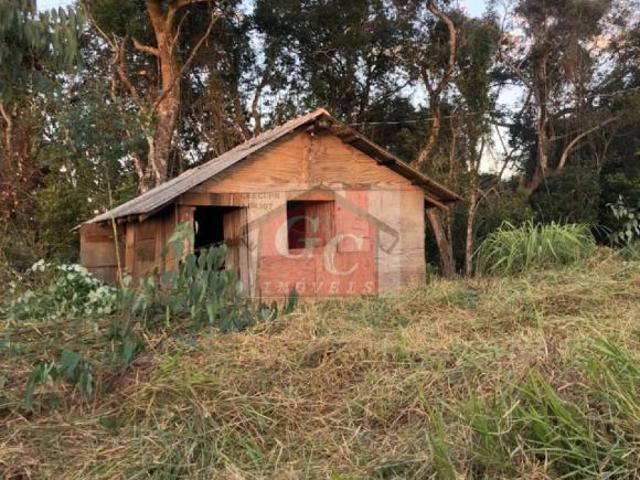 Sítio e chácara venda em Região Geográfica Imediata de Telêmaco Borba, Tibagi