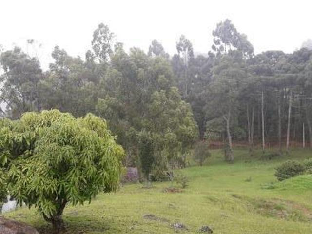 Sítio e chácara venda em Região Geográfica Imediata de Pouso Alegre, Região Sudeste