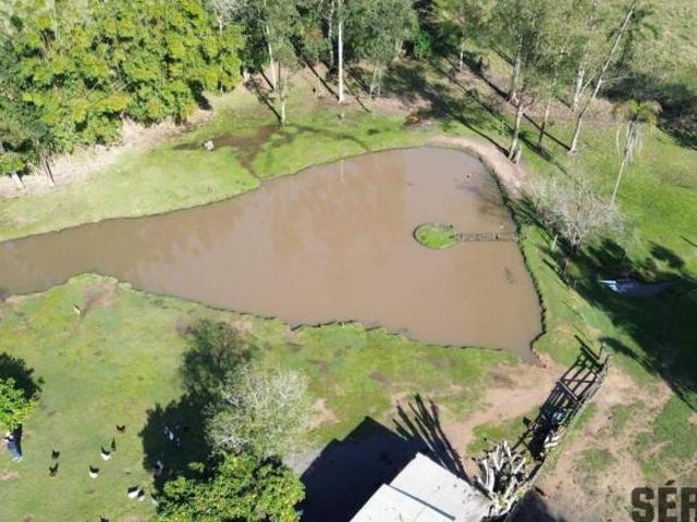 Sítio e chácara venda em Região Geográfica Imediata de Charqueadas - Triunfo - São Jerônimo, Região Metropolitana de Porto Alegre