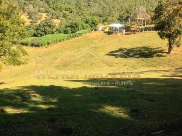 Sítio e chácara venda em Tuiuti