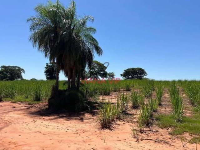 Sítio e chácara venda em Tupi Paulista