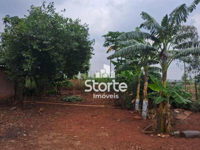 Sítio e chácara venda em Região Geográfica Imediata de Uberlândia, Oliveira Fortes