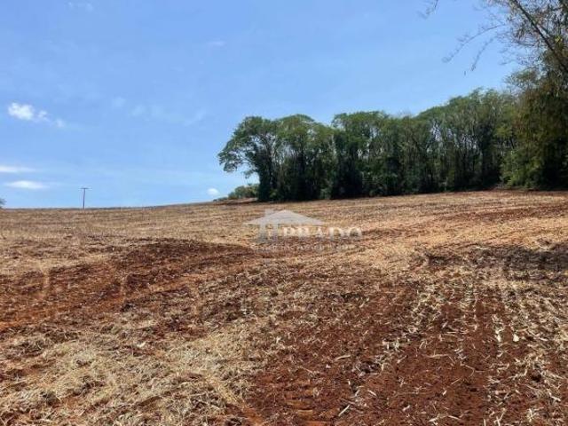 Sítio e chácara venda em Região Geográfica Imediata de Cornélio Procópio-Bandeirantes, Uraí