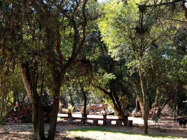 Sítio e chácara venda em Região Geográfica Imediata de Porto Alegre, Região Metropolitana de Porto Alegre