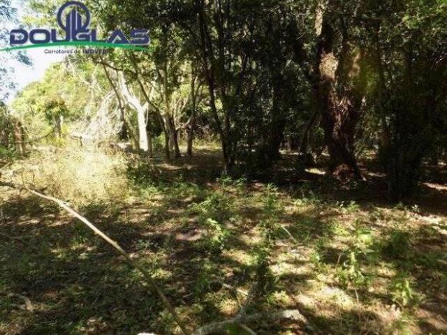 Sítio e chácara venda em Região Geográfica Imediata de Porto Alegre, Região Metropolitana de Porto Alegre