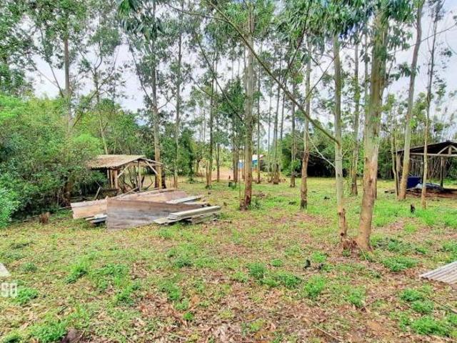 Sítio e chácara venda em Região Geográfica Imediata de Porto Alegre, Região Metropolitana de Porto Alegre