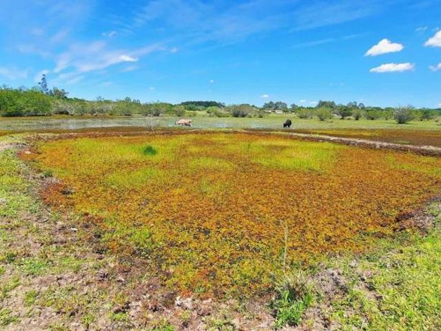 Sítio e chácara venda em Região Geográfica Imediata de Porto Alegre, Região Metropolitana de Porto Alegre