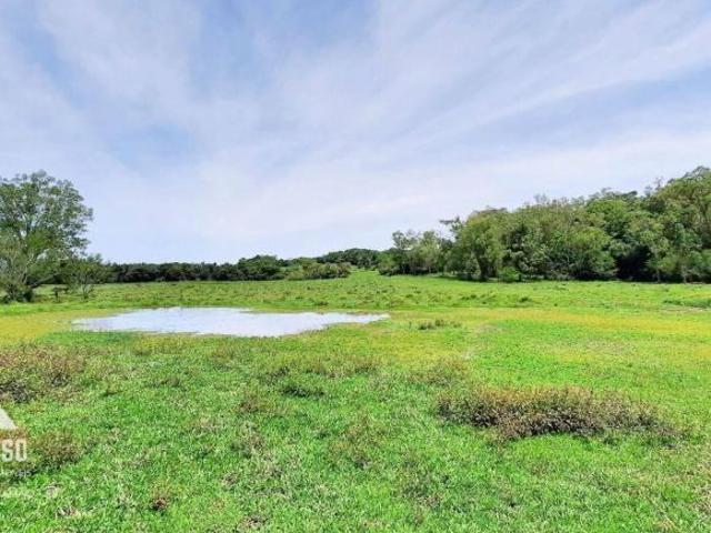 Sítio e chácara venda em Região Geográfica Imediata de Porto Alegre, Região Metropolitana de Porto Alegre