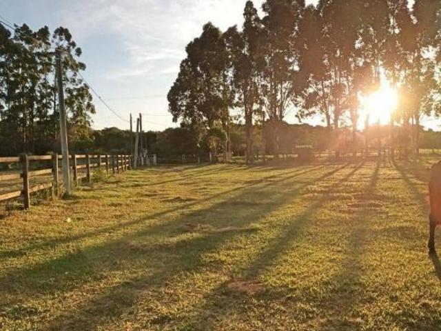 Sítio e chácara venda em Região Geográfica Imediata de Porto Alegre, Região Metropolitana de Porto Alegre
