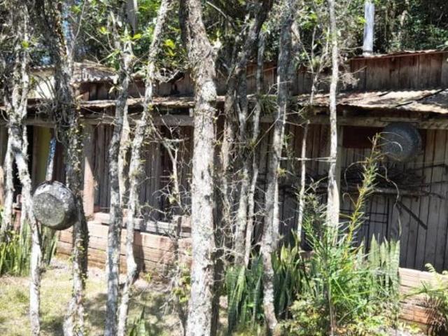 Sítio e chácara venda em Região Geográfica Imediata de Porto Alegre, Região Metropolitana de Porto Alegre