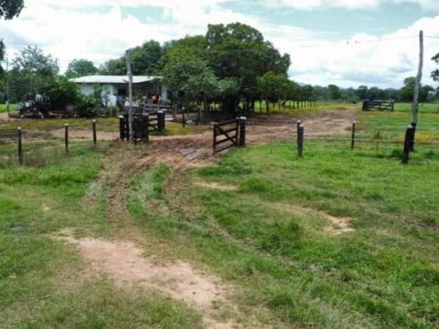 Sítio e chácara venda em Região Geográfica Imediata de Anápolis, Vianópolis