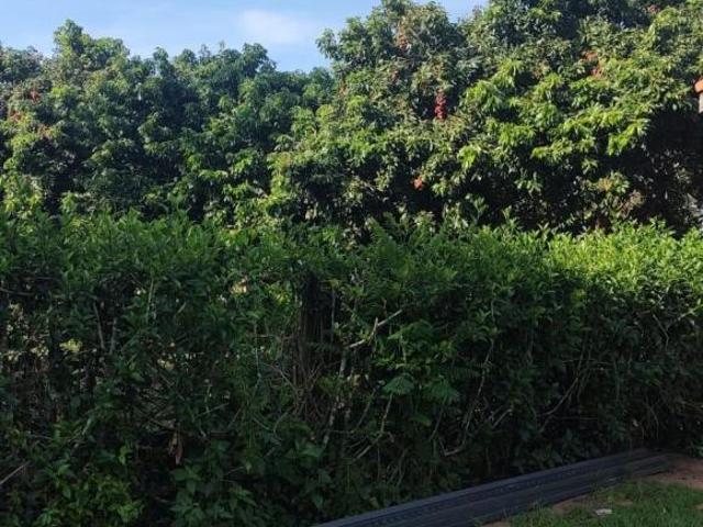 Sítio e chácara venda em Região Imediata de Sorocaba, Região Metropolitana de Sorocaba