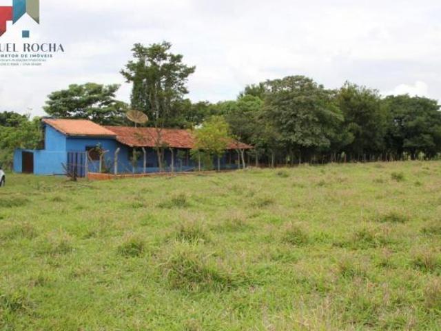 Sítio e chácara venda em Vila Prudente, São Paulo