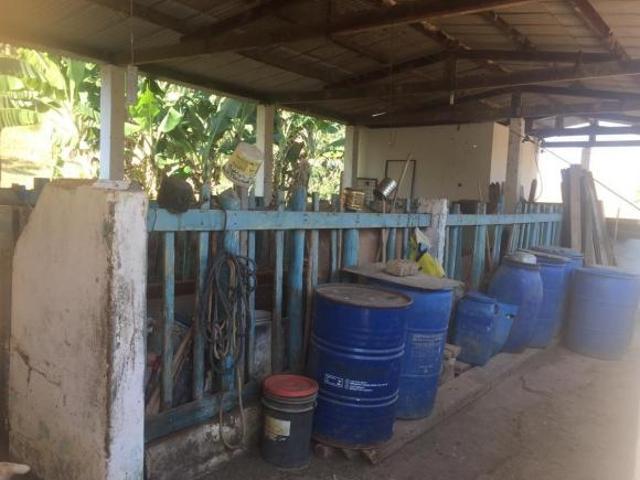 Sítio e chácara venda em Região Imediata de Cruzeiro, Região Metropolitana do Vale do Paraíba e Litoral Norte