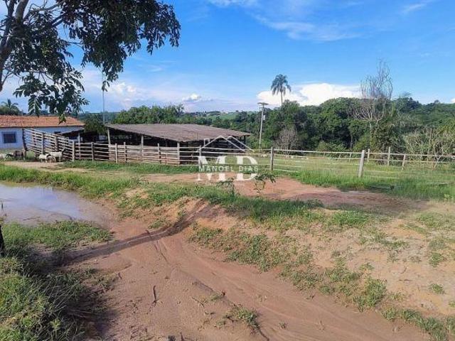 Sítio e chácara venda em Região Imediata de Campinas, Região Metropolitana de Campinas