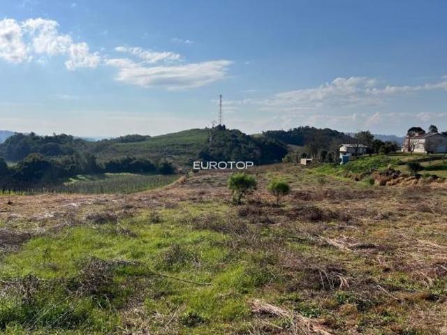 Sítio e chácara venda em Vale dos Vinhedos, Bento Gonçalves