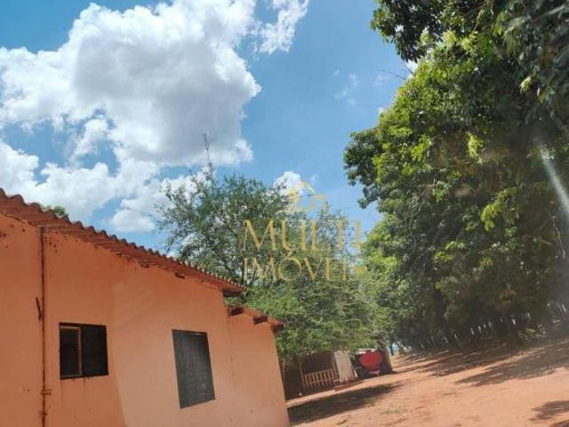 Sítio e chácara venda em Região Imediata de Votuporanga, Votuporanga