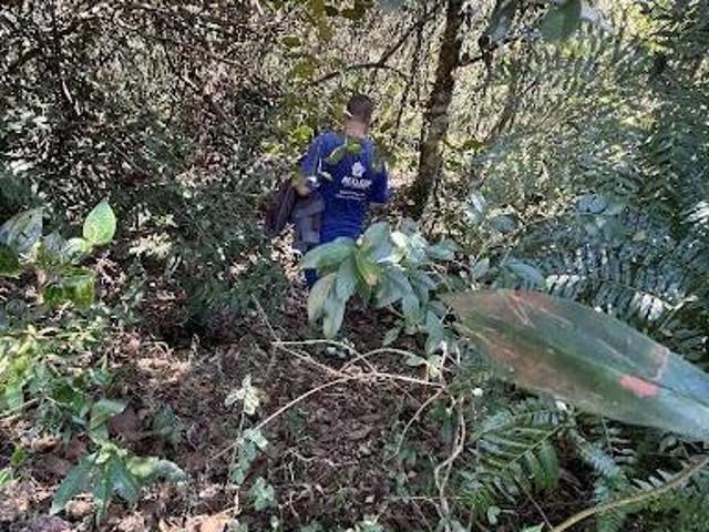 Sítio e chácara venda em Região Imediata de Botucatu, Botucatu