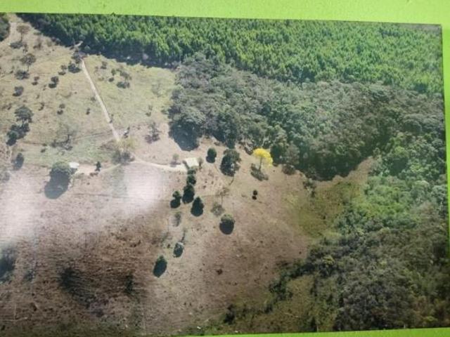 Sítio e chácara venda em Região Geográfica Imediata de Oliveira, Região Metropolitana de Belo Horizonte