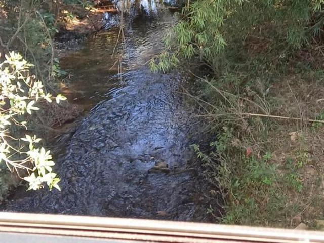 Sítio e chácara venda em Região Geográfica Imediata de Lavras, Luminárias