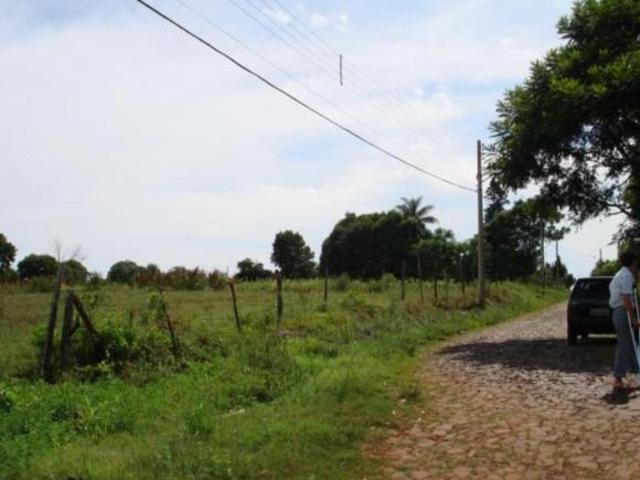 Sítio e chácara venda em Santo Ângelo