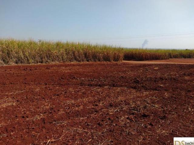 Sítio e chácara venda em Vila Grego, Santa Bárbara d'Oeste