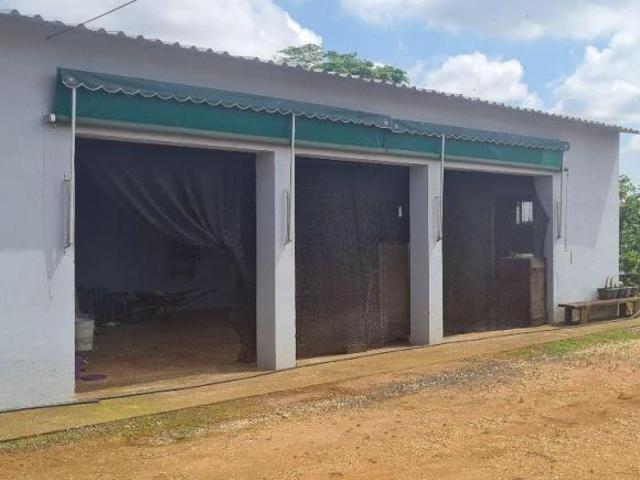 Sítio e chácara venda em Região Imediata de Mogi Guaçu, Região Sudeste