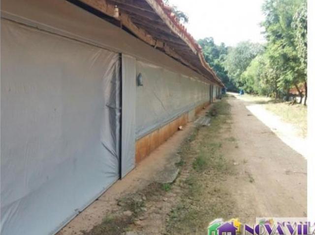 Sítio e chácara venda em Centro, Pedreira