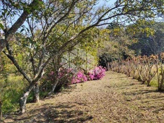 Sítio e chácara venda em Espigão, Viamão