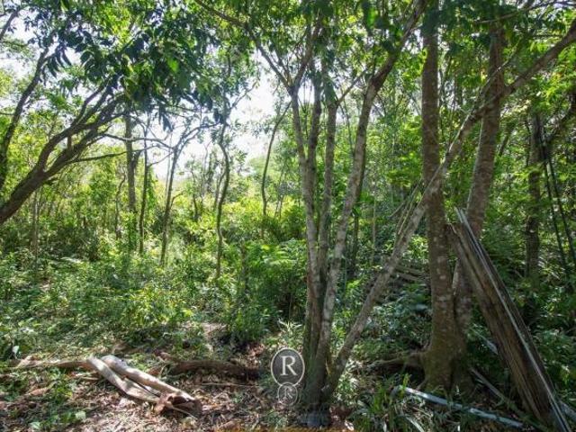 Sítio e chácara venda em Região Geográfica Imediata de Torres, Aglomeração Urbana do Litoral Norte