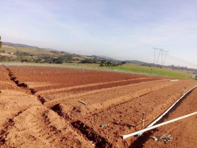 Sítio e chácara venda em Vila Nova Sorocaba, Piedade