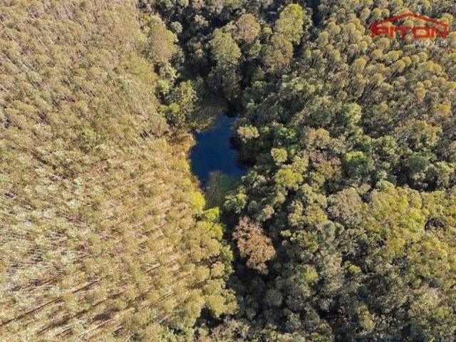 Sítio e chácara venda em Vila Quintino, Piedade