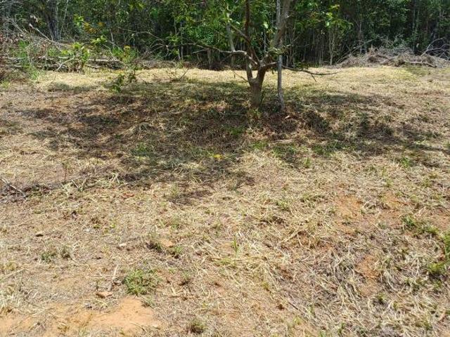 Sítio e chácara venda em Região Imediata de São Paulo, Região Metropolitana de São Paulo