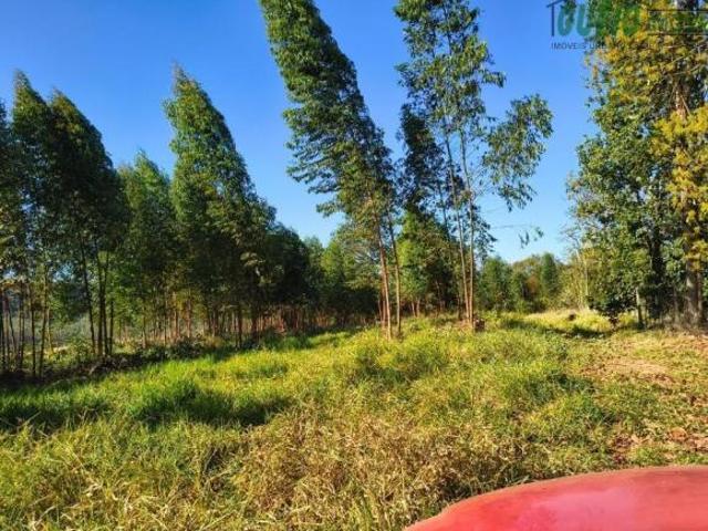 Sítio e chácara venda em Região Imediata de Itapeva, Itararé