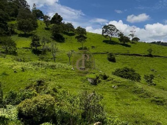 Sítio e chácara venda em Jundiaí