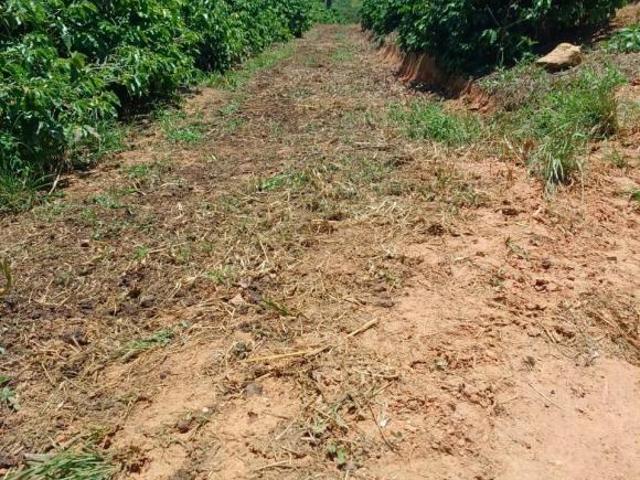 Sítio e chácara venda em Região Geográfica Imediata de Pouso Alegre, Ouro Fino