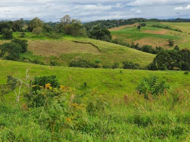 Sítio e chácara venda em Região Geográfica Imediata de Pouso Alegre, Ouro Fino