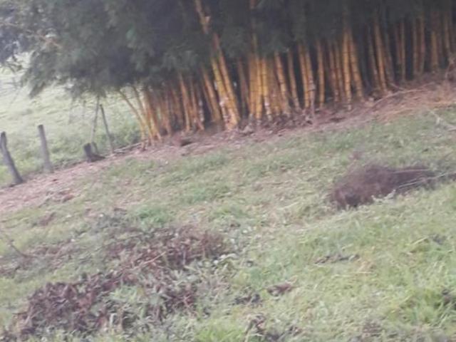 Sítio e chácara venda em Região Geográfica Imediata de Oliveira, Piracema