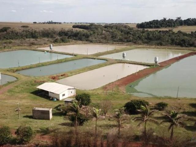 Sítio e chácara venda em Área Industrial - Parque de Exposição, Medianeira