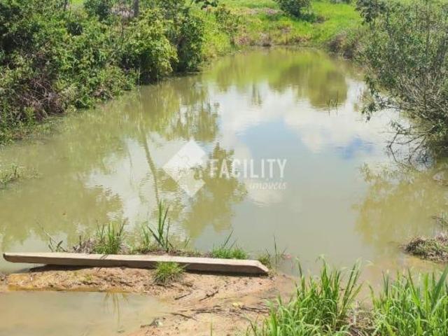 Sítio e chácara venda em Região Imediata de Itapeva, Itararé