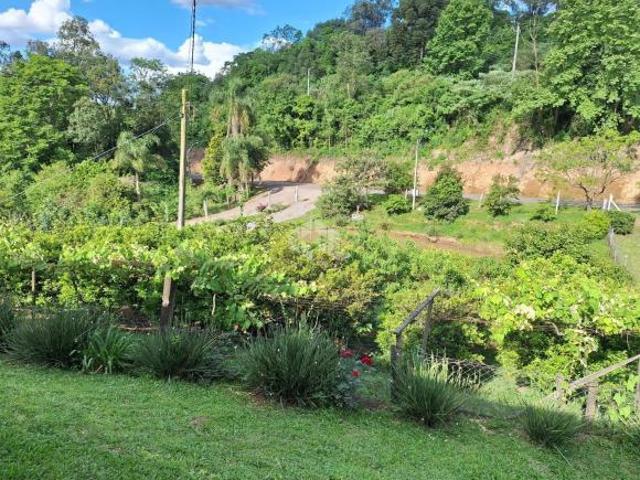 Sítio e chácara venda em Garibaldi