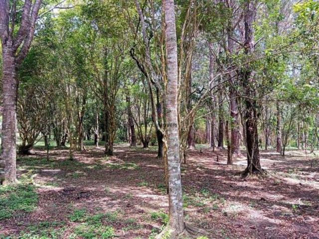 Sítio e chácara venda em Região Imediata de São Paulo, Região Metropolitana de São Paulo