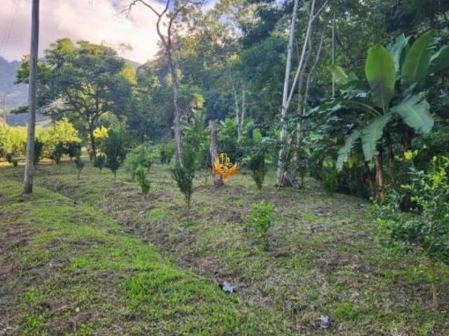 Sítio e chácara venda em Região Imediata de Taubaté-Pindamonhangaba, Região Metropolitana do Vale do Paraíba e Litoral Norte