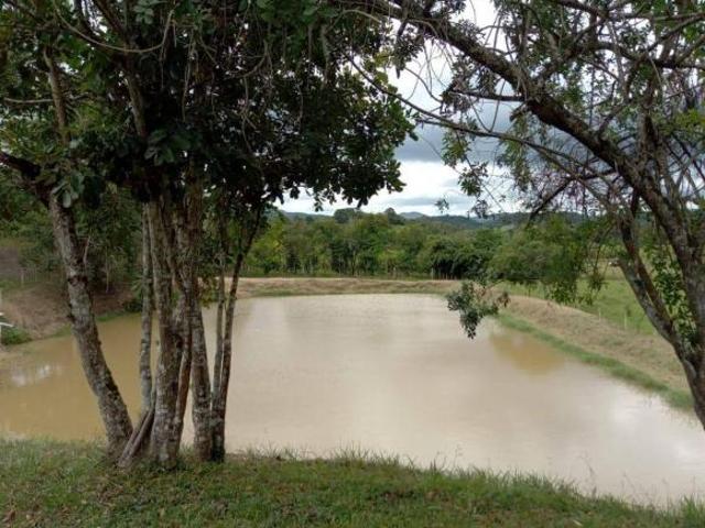 Sítio e chácara venda em Região Imediata de Registro, Miracatu