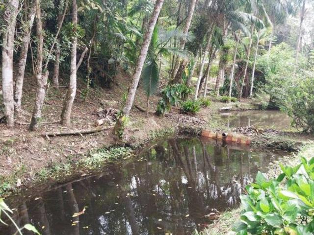 Sítio e chácara venda em Região Imediata de São Paulo, Região Metropolitana de São Paulo