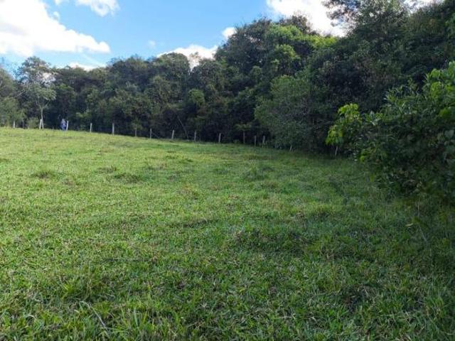 Sítio e chácara venda em Região Geográfica Imediata de São Sebastião do Paraíso, São Sebastião do Paraíso