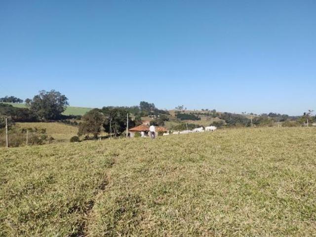 Sítio e chácara venda em Região Geográfica Imediata de Santo Antônio da Platina, Ribeirão Claro